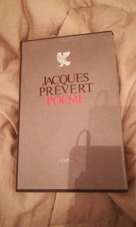 Libreria del Professore