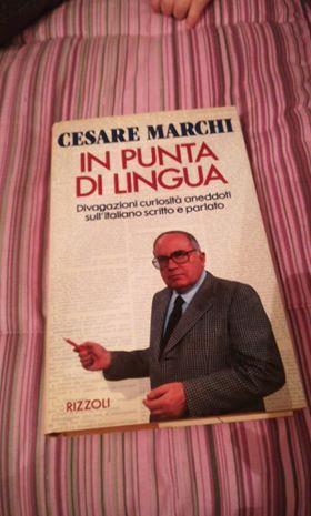 in punta di lingua - Cesare Marchi - copertina
