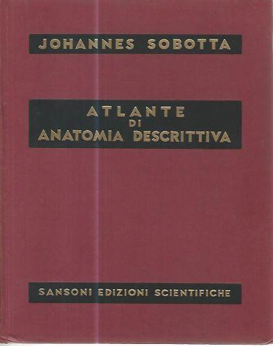 Atlante di anatomia descrittiva II - Johannes Sobotta - copertina