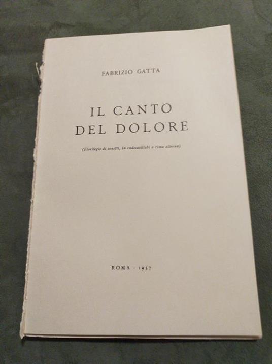 Il canto del dolore - Fabrizio Gatta - copertina