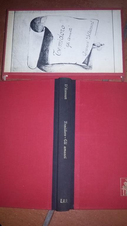 Temidoro ossia la mia storia e quella della mia amante - Claude Godard d' Aucourt - copertina