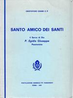 Santo amico dei Santi. Il Servo di Dio P. Egidio Giuseppe Passionista