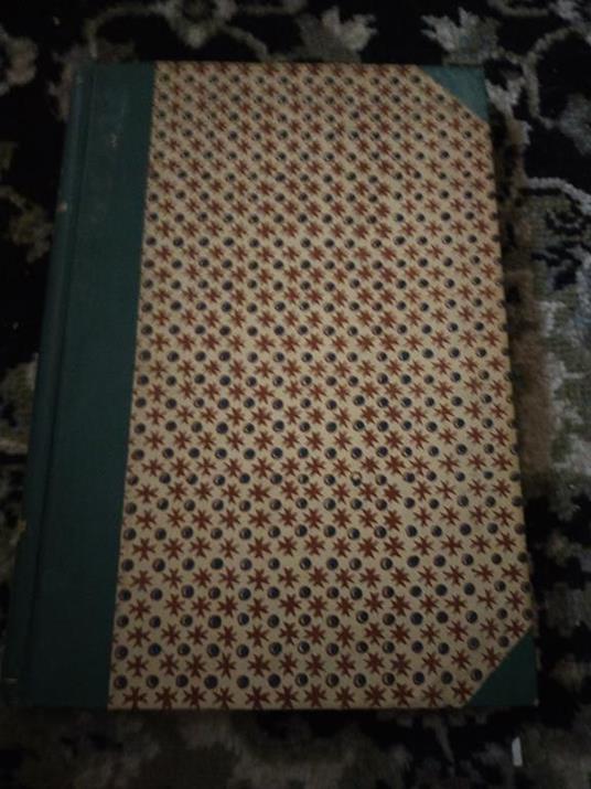 Raffaello e la Fornarina - copertina