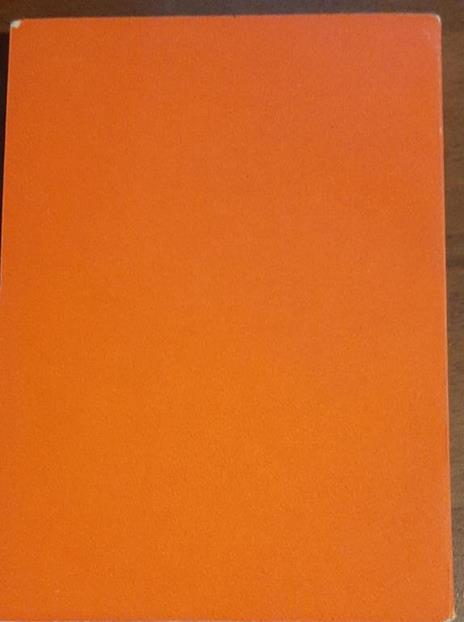 Diario - Anne Frank - 2