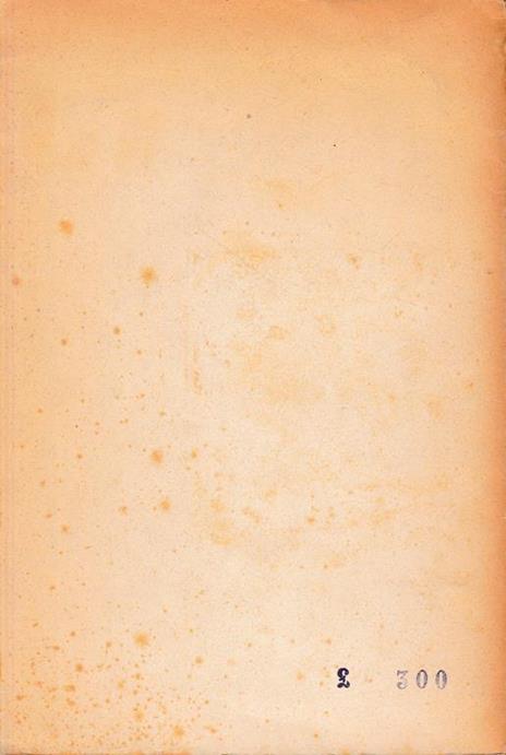 La Santa Sindone - 2