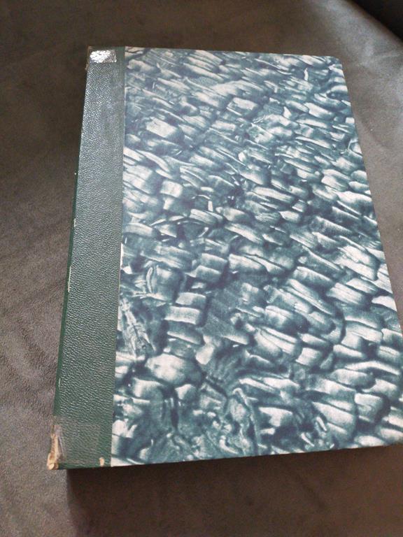 Libreria del Professore