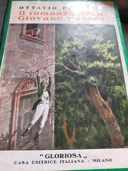 Il romanzo di un giovane povero - copertina