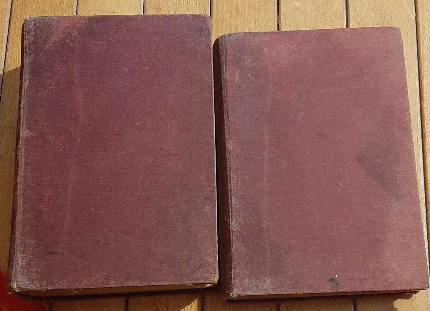Dizionario Della Lingua Latina Volume I-Ii