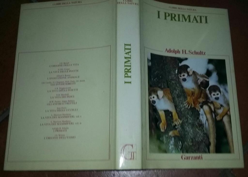 Libreria del Professore