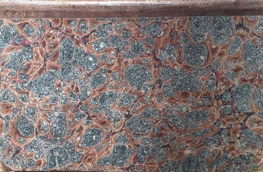 Traité de Droit Romain,Tome V - 2