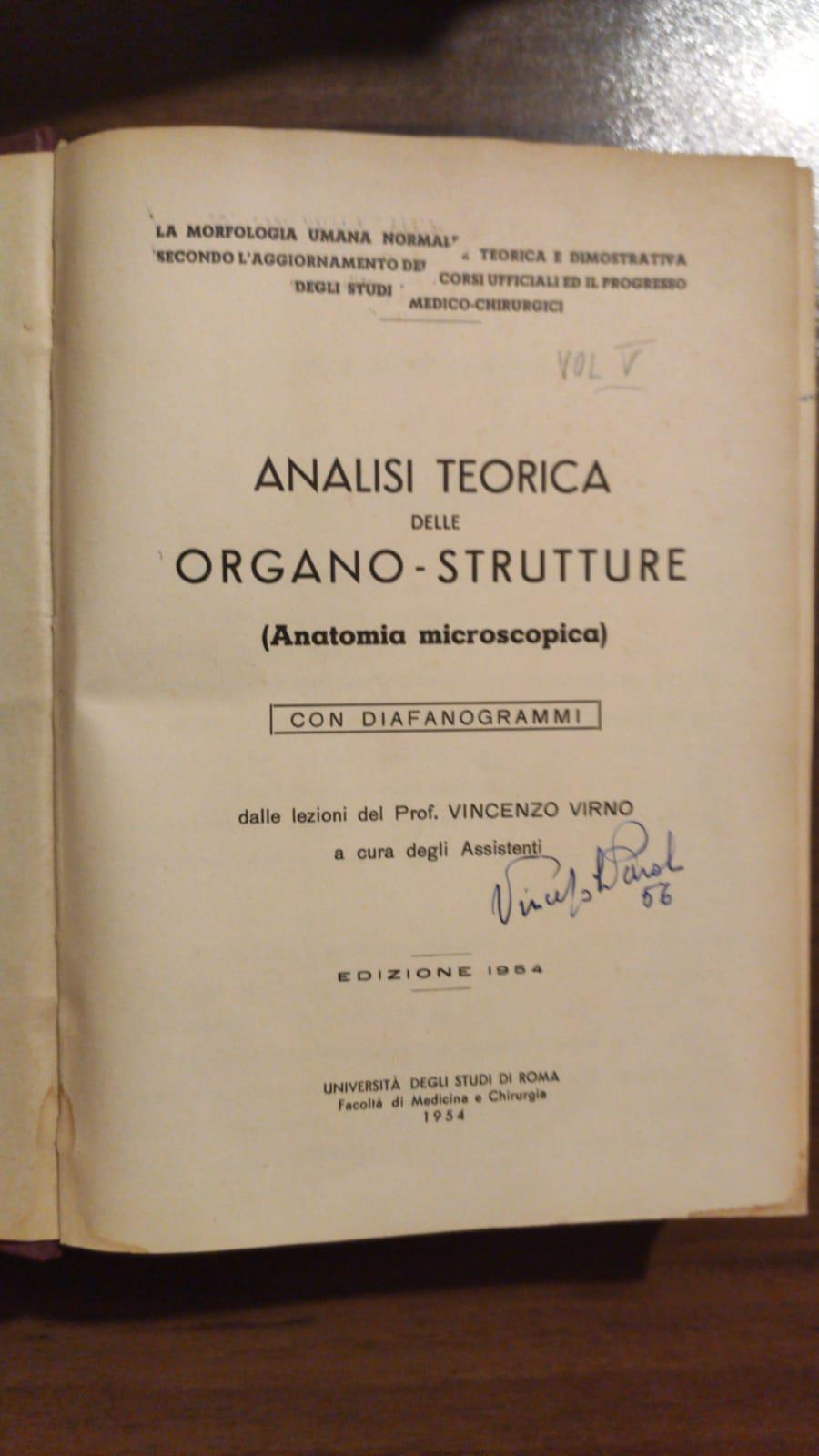Analisi Teorica Delle Organo-Strutture