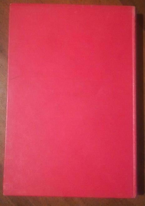 I Capolavori Stranieri Per La Gioventu Don Chisciotte Della Manica - Miguel de Cervantes - 2