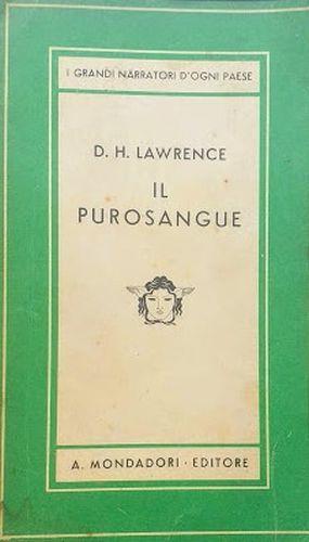 IL purosangue - David Herbert Lawrence - copertina