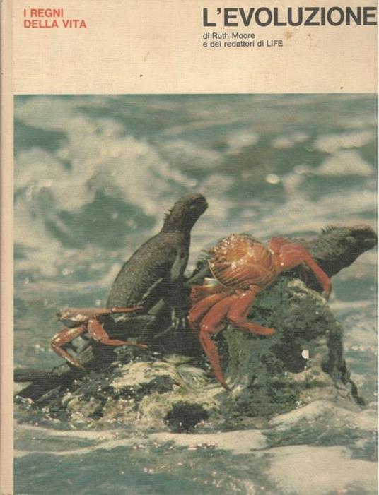 I Regni Della Vita: L’Evoluzione - Ruth Moore - copertina