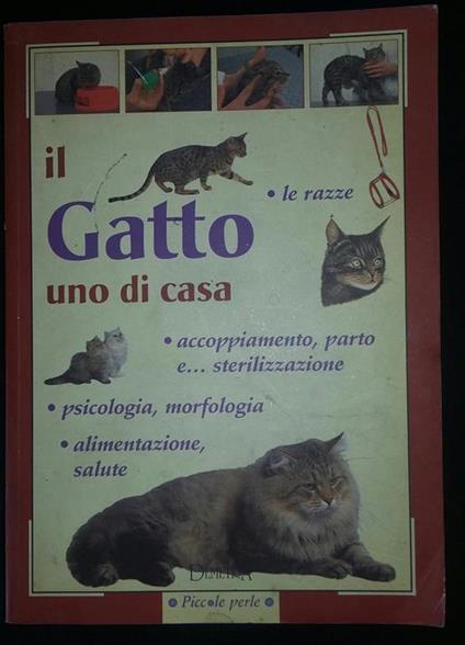 Il gatto uno di casa - copertina