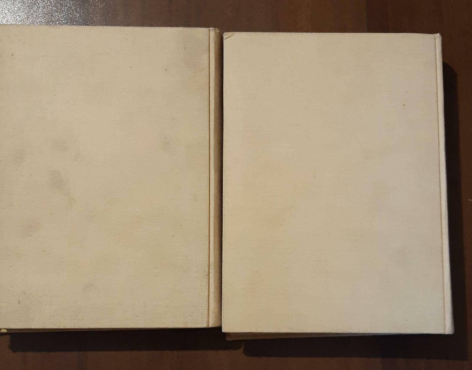 Il Teatro Drammatico Compagni Della Vostra Vita Volume I Volume II