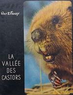 La vallée des castors