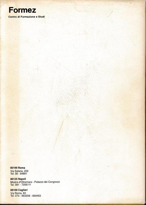 Il metodo dei casi e la formazione manageriale. Guida pratica - 2