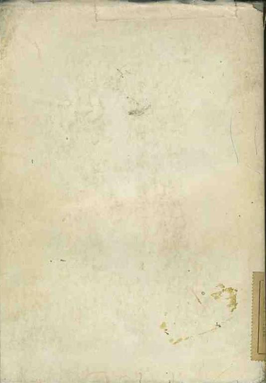 Michelangelo - Valerio Mariani - 2