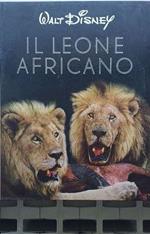 Walt Disney. Il leone africano