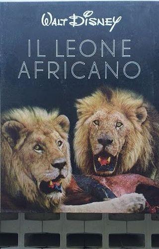 Walt Disney. Il leone africano - Jean D'Esme - copertina