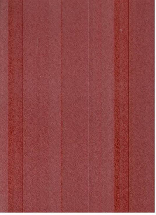 Nella Roma dell'800 con Volfango Goethe e Bartolomeo Pinelli - Giuseppe Massani - 2