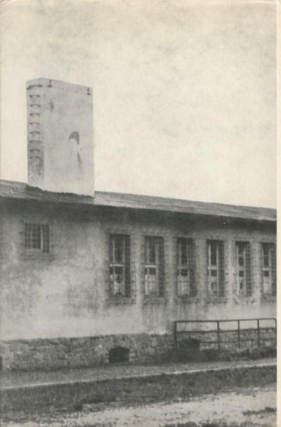 Tu passerai per il camino. Vita e morte a Mauthausen