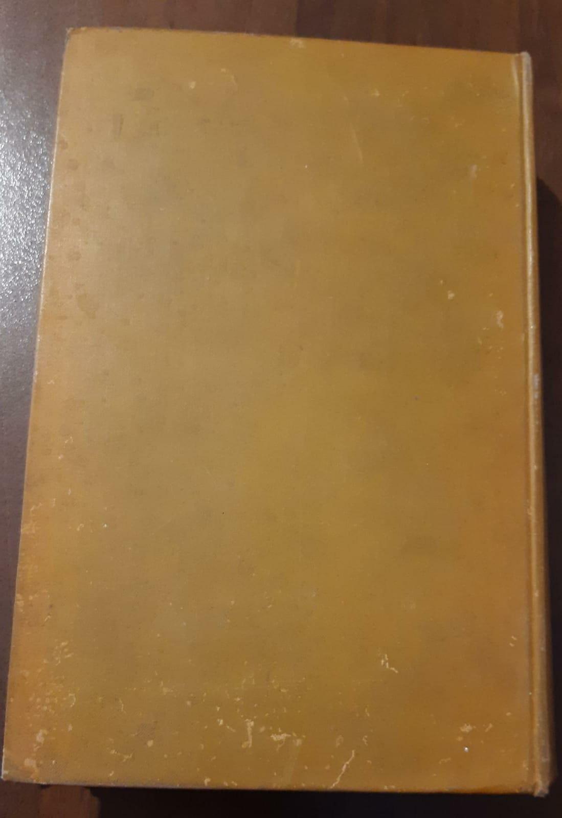 The life of Michelangelo Buonarroti