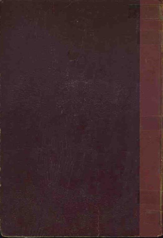 I filibustieri del Gran Golfo o Alessandro Braccio di ferro - Emilio Fancelli - 2