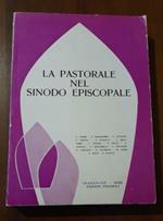 La pastorale nel sinodo episcopale