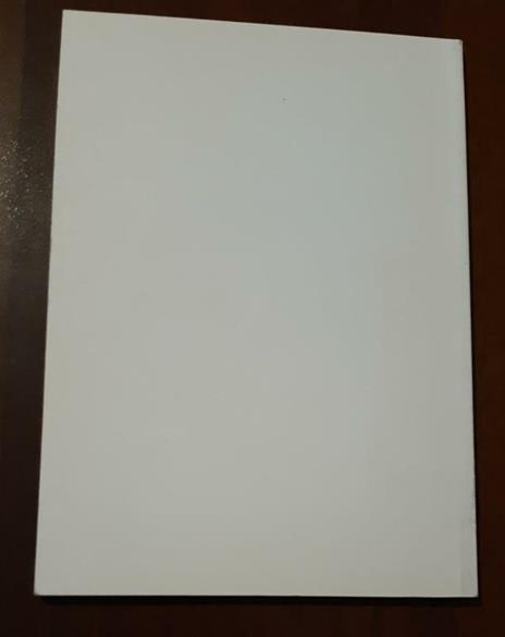 Nostra Signora di Guadalupe - 2