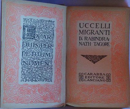 Uccelli migranti - copertina