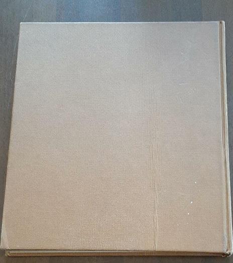 Vincenzo de' Paoli - 2