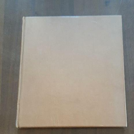 Vincenzo de' Paoli - 3