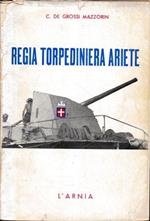Regia Torpediniera 