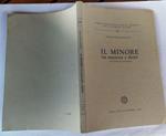 Il Minore tra interessi e diritti