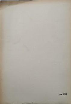 Commentario del Codici Civile, Libro Secondo - Delle Successioni: Successioni in Generale (artt. 456-511) - Luigi Ferri - 2