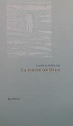 La visite de Dieu : Essai sur les missions des personnes divines selon saint Thomas d'Aquin