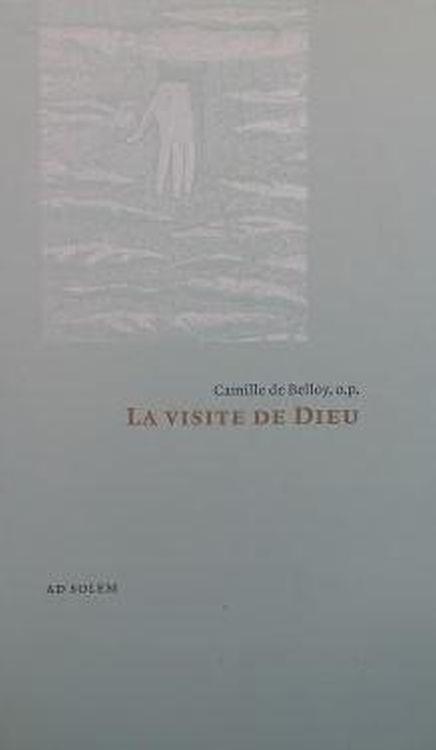 La visite de Dieu : Essai sur les missions des personnes divines selon saint Thomas d'Aquin - copertina