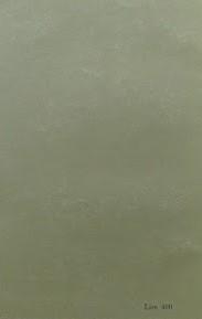Librisaggi