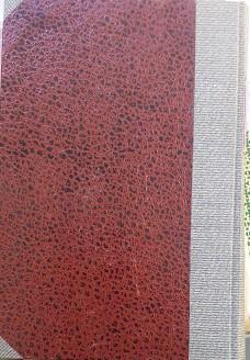 Saggio su l'intelligenza umana - John Locke - 2