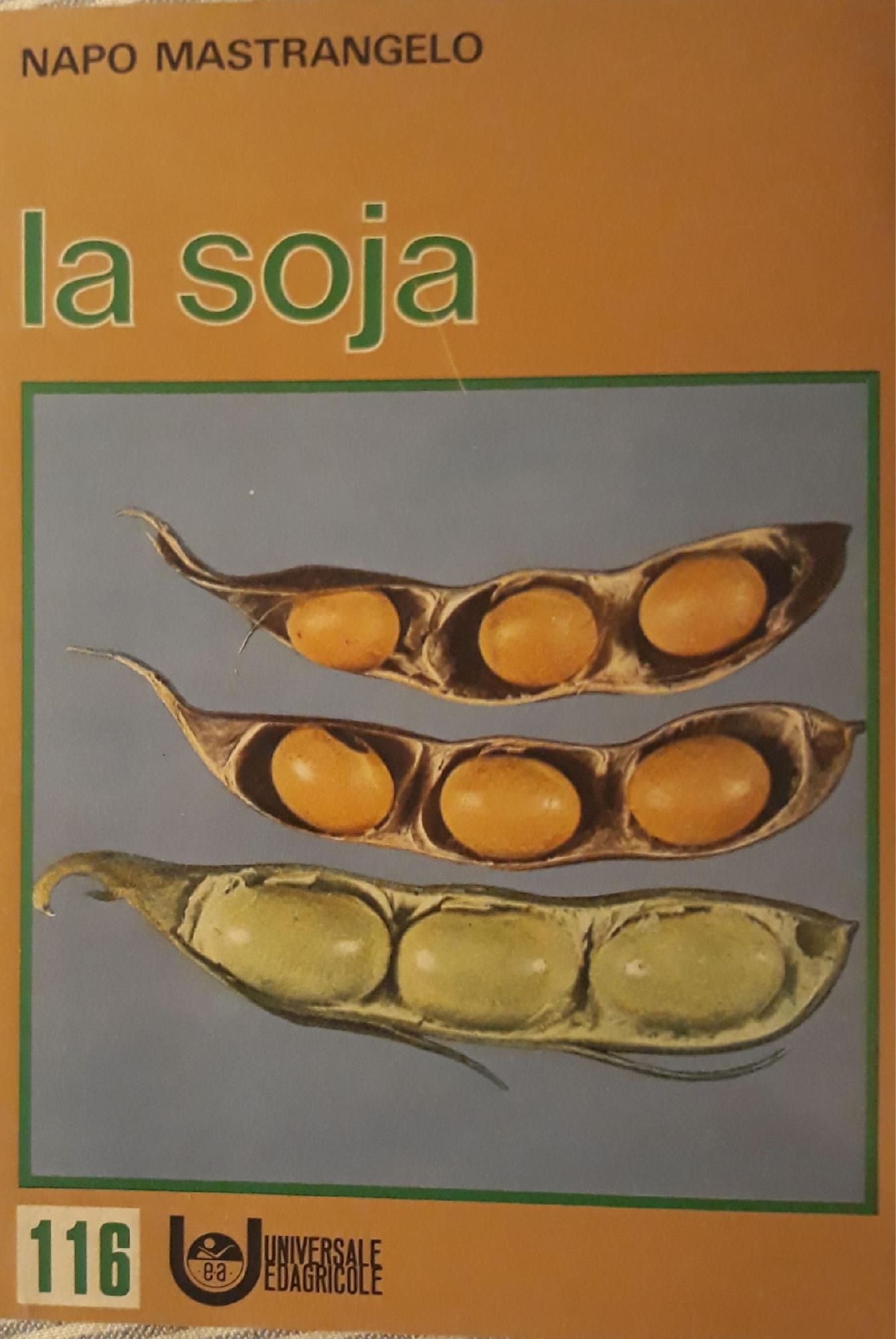 Libreria del Professore