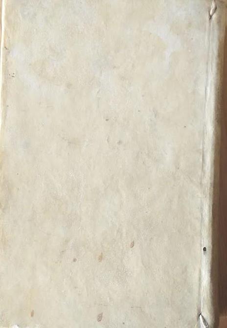 Dominici Cavallarii in regia neapolitana academia primarii professoris Institutiones Juris Canonici quibus vetus et nova ecclesiae discipina enarratur in usum privati auditorii conscriptae - Domenico Cavallari - 2