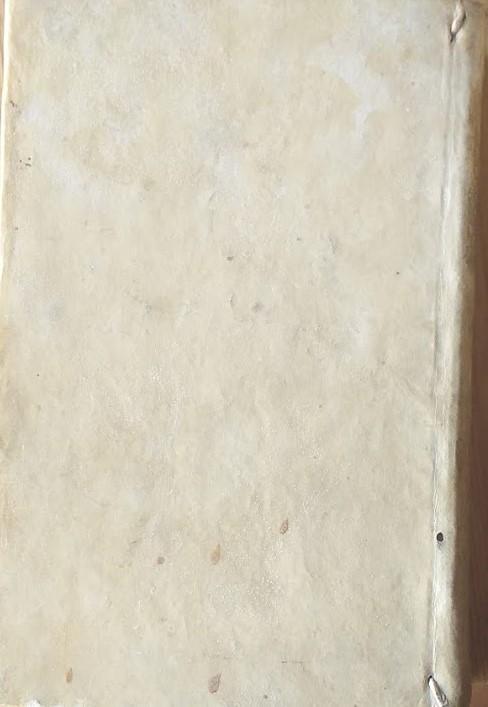 Dominici Cavallarii in regia neapolitana academia primarii professoris Institutiones Juris Canonici quibus vetus et nova ecclesiae discipina enarratur in usum privati auditorii conscriptae