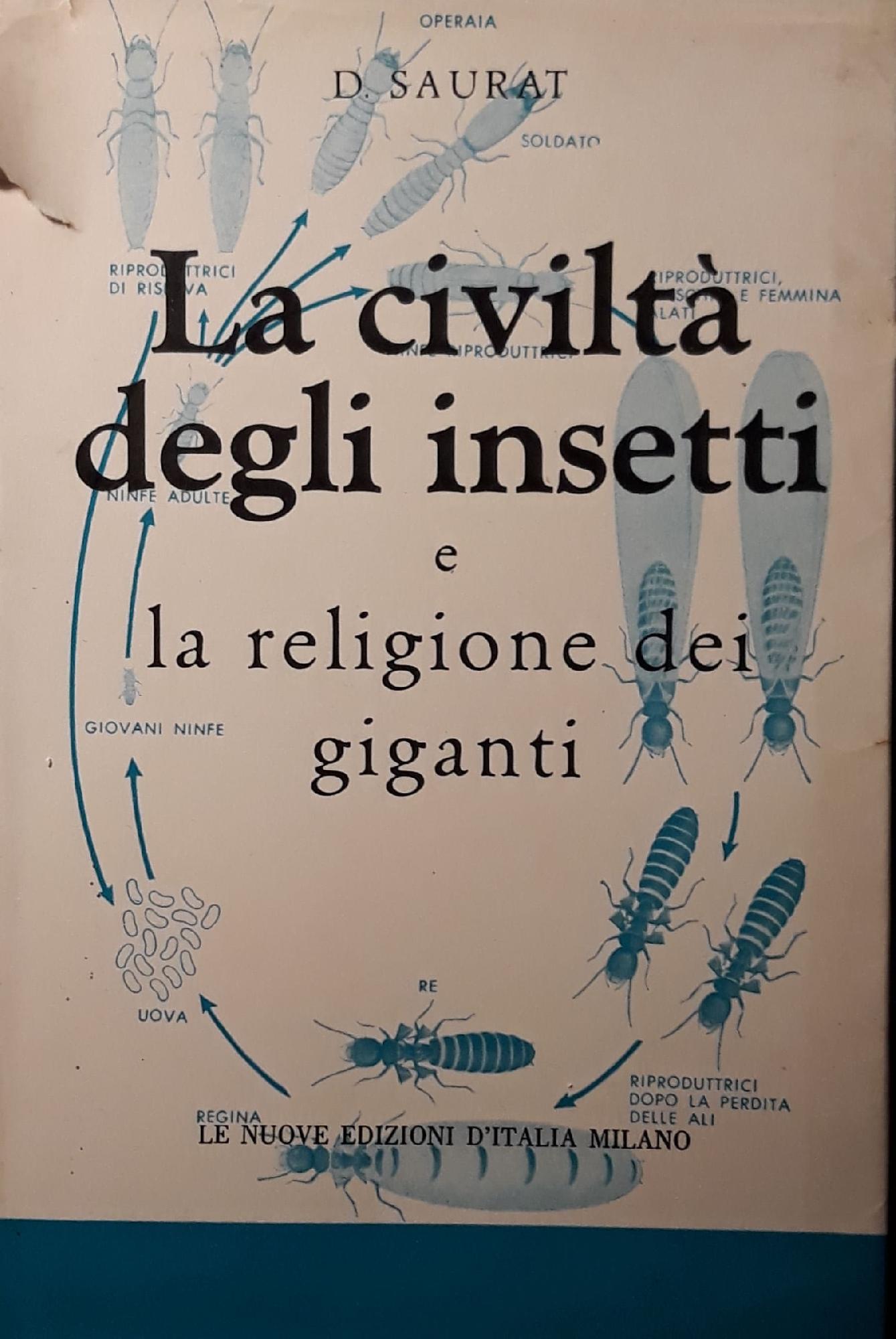 Librisaggi