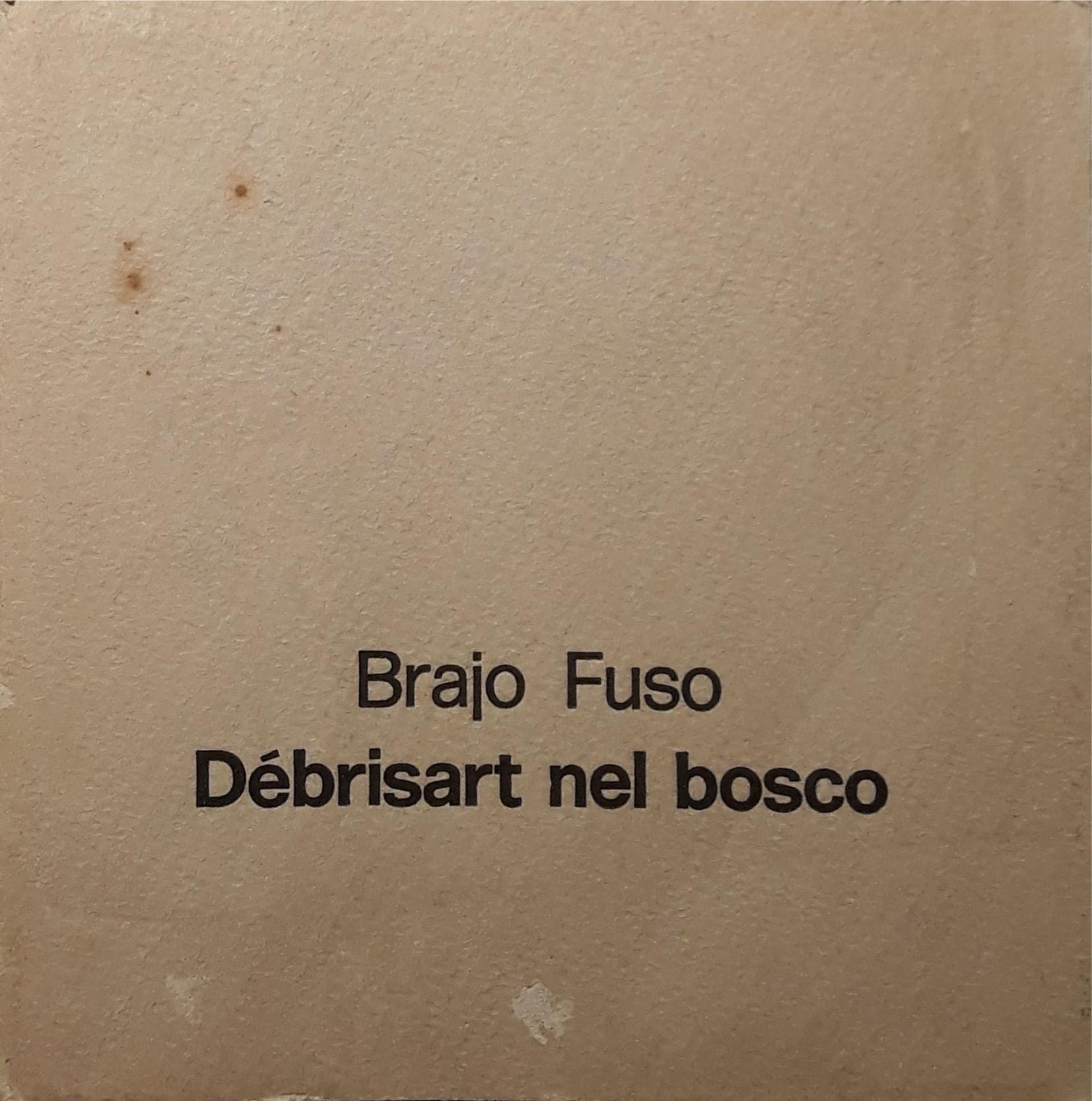 Brajo Fuso: Debrisart nel bosco