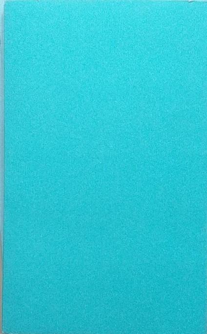 Ritratto del padre da giovane - Luisa Ciuni - 2