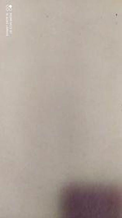 il museo etnografico, le sale e i percorsi esterni - copertina