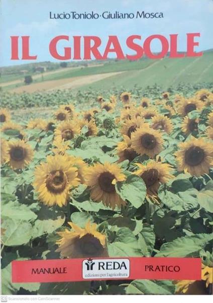 Il Girasole - copertina