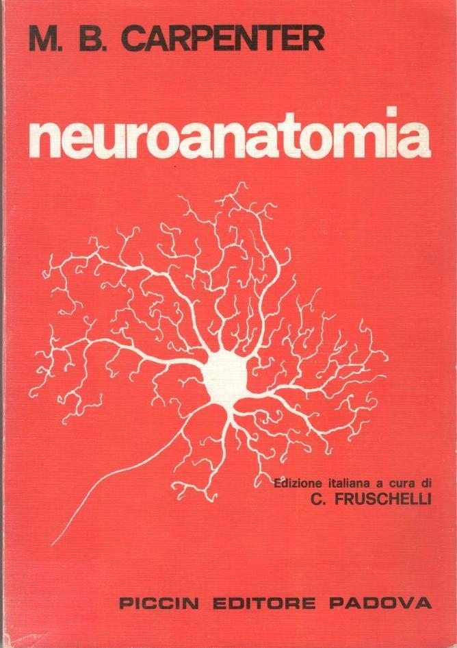 Neuroanatomia